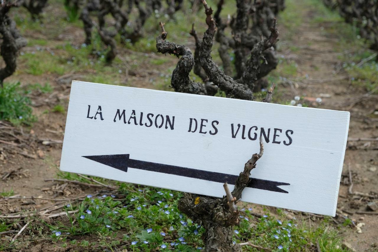 La Maison Des Vignes Charentay Exterior foto